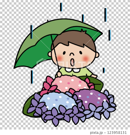 A boy holding an umbrella and gazing at hydrangeas on a rainy day 123958131