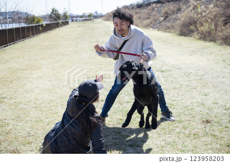 大型犬のお散歩の訓練をしよう (躾された犬に真似だけさせています） 123958203