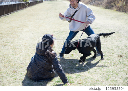 大型犬のお散歩の訓練をしよう (躾された犬に真似だけさせています） 123958204