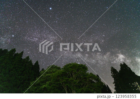 森に架かる天の川 123958355