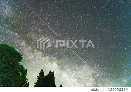 森に架かる天の川 123958359