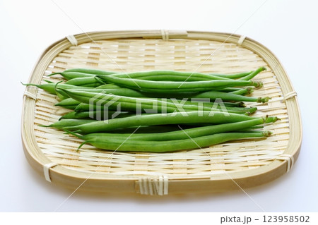 インゲン豆 123958502