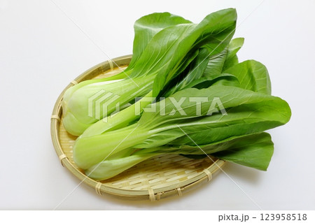 チンゲン菜 チンゲン菜 123958518