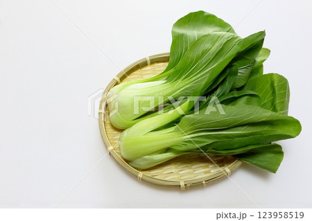 チンゲン菜 チンゲン菜 123958519