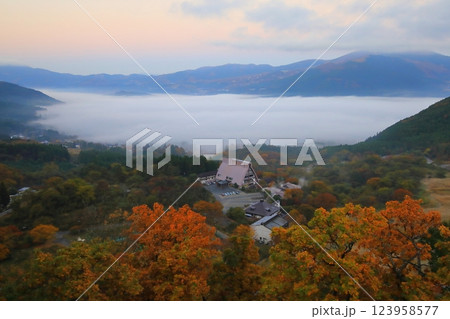 美しい由布院の雲海と紅葉(由布市湯布院町) 美しい由布院の雲海と紅葉(由布市湯布院町) 123958577