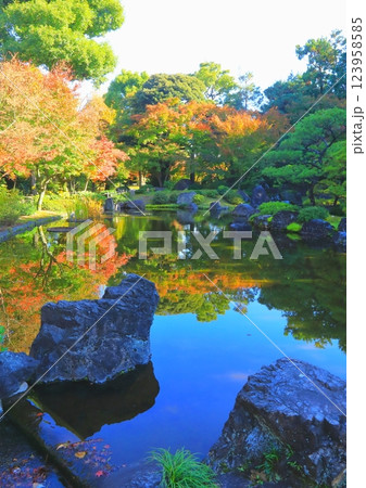 秋の神苑(城南宮・京都市・縦構図) 秋の神苑(城南宮・京都市・縦構図) 123958585
