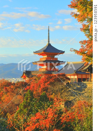 三重塔（清水寺）と京都市街 123958591