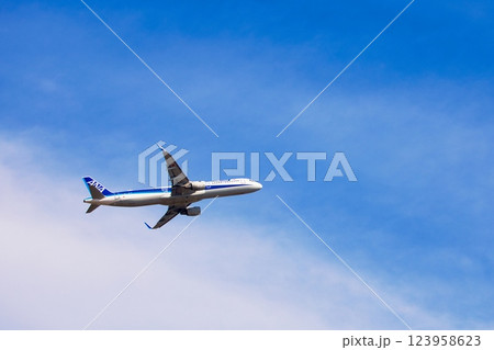青空と白い雲の中を飛ぶ旅客機4　エアバスA321 123958623