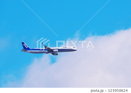 青空と白い雲の中を飛ぶ旅客機5 エアバスA321 青空と白い雲の中を飛ぶ旅客機5 エアバスA321 123958624