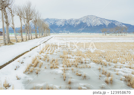 新潟　冬の田園風景 123958670