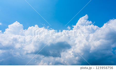 夏の青空に発生した積乱雲 123958756
