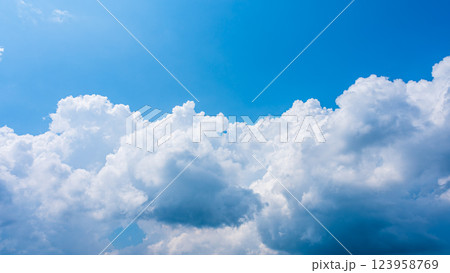 夏の青空に発生した積乱雲 123958769