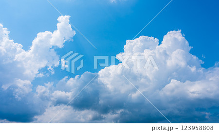 夏の青空に発生した積乱雲 123958808
