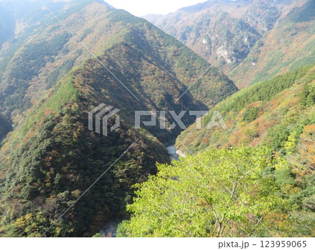 祖谷溪　三好市　徳島県 123959065