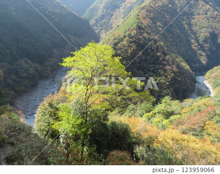 祖谷溪 三好市 徳島県 祖谷溪 三好市 徳島県 123959066