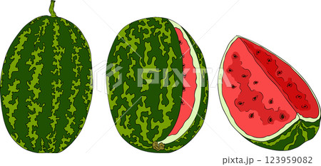 Watermelon colored illustration set. Watermelon fruit vector set. 123959082