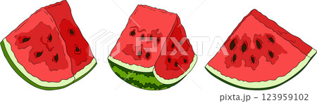 Watermelon colored illustration set. Watermelon fruit vector set. Watermelon colored illustration set. Watermelon fruit vector set. 123959102