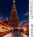 クリスマスツリーを見に 123959372