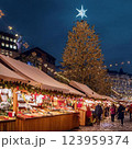 クリスマスツリーのある風景 123959374