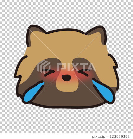 Crying raccoon face Crying raccoon face 123959392