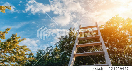 wooden ladder reaching towards bright sky and lush trees symbolizes dreams 123959457