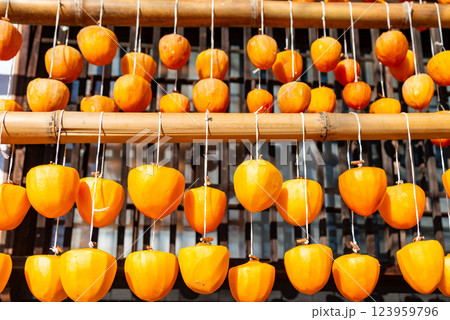 （山梨県）旧高野家住宅（甘草屋敷）　軒下のころ柿 123959796