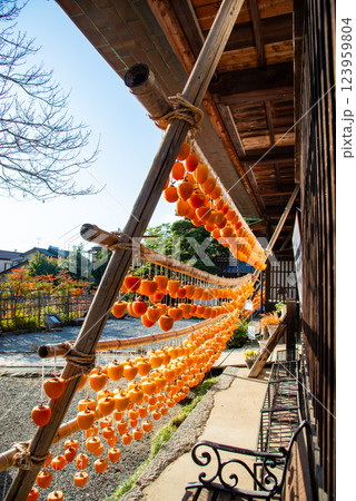 （山梨県）旧高野家住宅（甘草屋敷）　軒下のころ柿 123959804