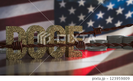The Doge and coins on USA flag Background  3d Rendering. 123959809
