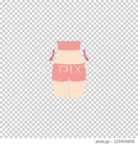 スリムな女性のお腹周りのイラスト 123959888