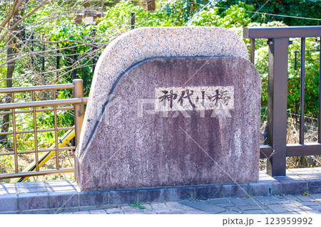 神代小橋　神代植物園　東京 123959992