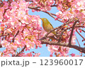 雀と桜 123960017
