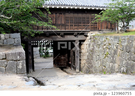 愛媛県松山市_松山城太鼓門1_2024年5月 123960755