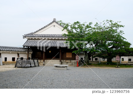 愛媛県松山市_松山城天神櫓1_2024年5月 愛媛県松山市_松山城天神櫓1_2024年5月 123960756