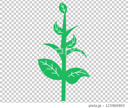 芽生長。向量插圖 123960903