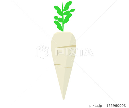 大根。ベクターイラスト	 123960908