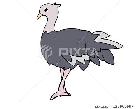 まるっこい ダチョウ 123960997