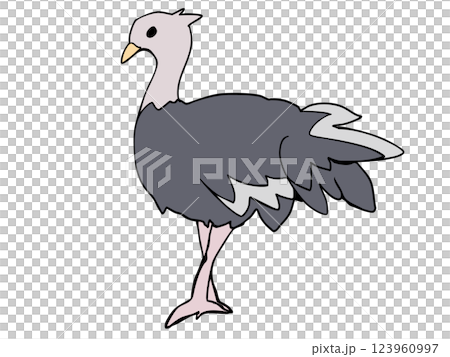 圓形鴕鳥 圓形鴕鳥 123960997