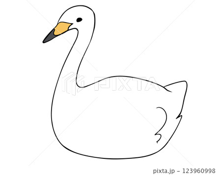 まるっこい 白鳥 123960998