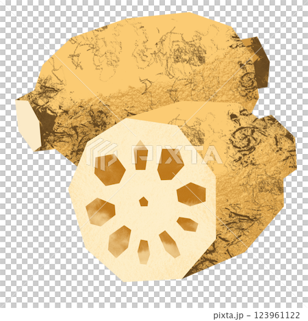 Collage style lotus root 123961122