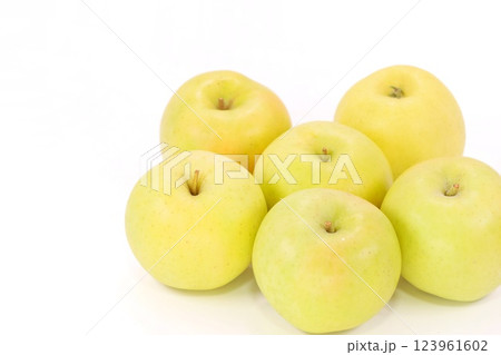 黄色いリンゴ トキ 青森県産 複数 明るい背景 黄色いリンゴ トキ 青森県産 複数 明るい背景 123961602