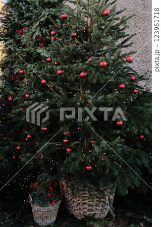 Christmas tree decorated with red ornaments and fairy lights in a festive setting. High quality photo 123961718