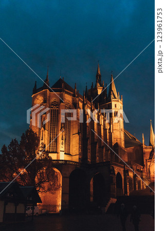 Erfurt Cathedral During Christmas with Festive Christmas Market and Holiday Spirit. High quality photo 123961753