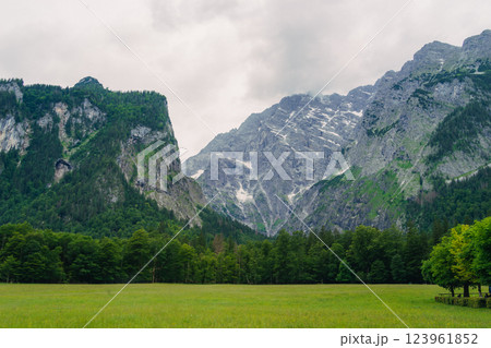 A stunning view of a lush green forest surrounded by towering mountain peaks. The serene landscape evokes a sense of peace and natural beauty, perfect for nature enthusiasts. Konigssee lake Bavaria 123961852