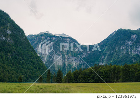 A stunning view of a lush green forest surrounded by towering mountain peaks. The serene landscape evokes a sense of peace and natural beauty, perfect for nature enthusiasts. Konigssee lake Bavaria 123961975
