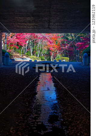 横浜・港北ニュータウンの額縁紅葉 横浜・港北ニュータウンの額縁紅葉 123962119