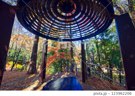 港北ニュータウン・都筑中央公園の紅葉 港北ニュータウン・都筑中央公園の紅葉 123962206