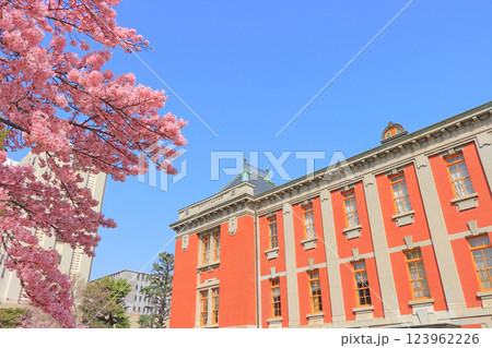 愛知県名古屋市、名古屋市市政資料館と桜の風景 愛知県名古屋市、名古屋市市政資料館と桜の風景 123962226