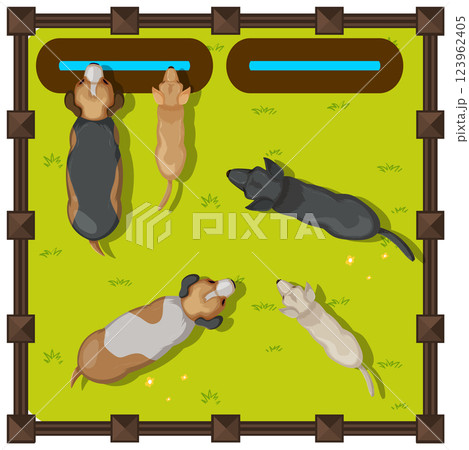 Dogs Relaxing in a Fenced Yard Dogs Relaxing in a Fenced Yard 123962405