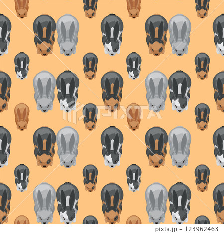 Colorful Rabbit Pattern on Orange Background 123962463