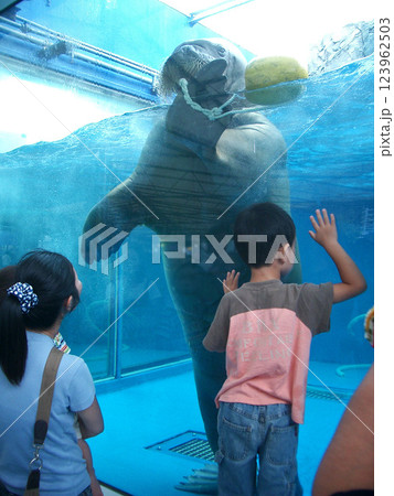 三重県鳥羽市の鳥羽水族館 三重県鳥羽市の鳥羽水族館 123962503